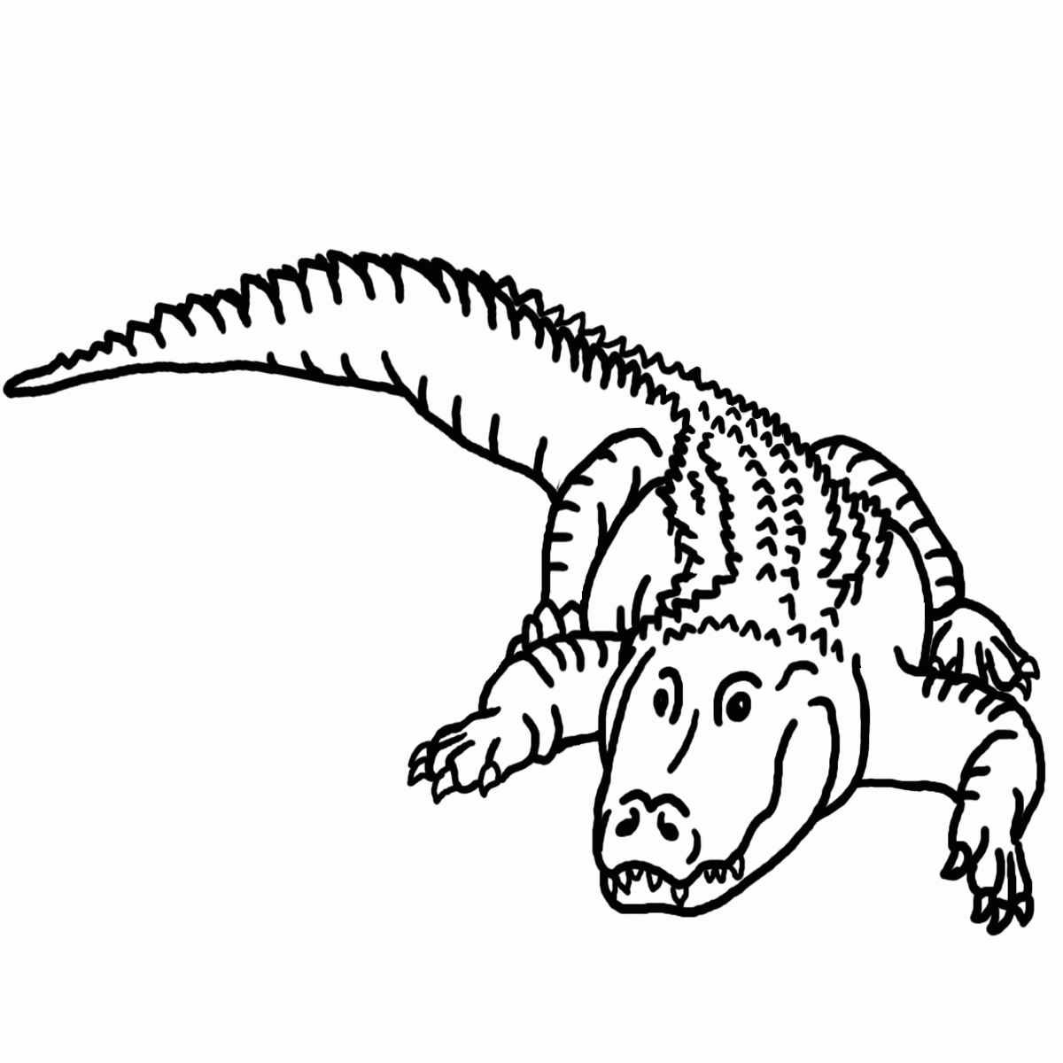 Krokodyle i aligatory kolorowanki